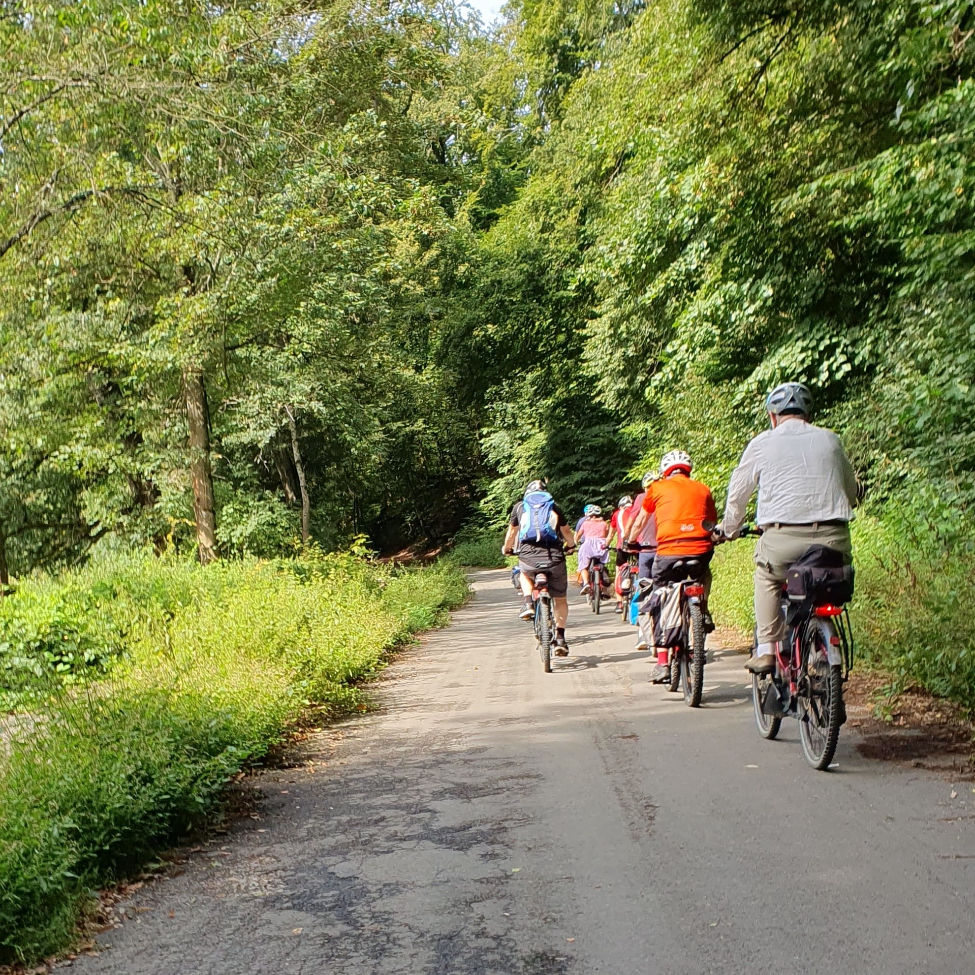 Bild einer Fahrradtour von hinten vor einem Wald im Hintergrund