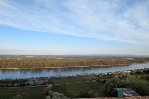 20250408_Rennradgruppe-Aussicht_Lukas Fleckenstein
