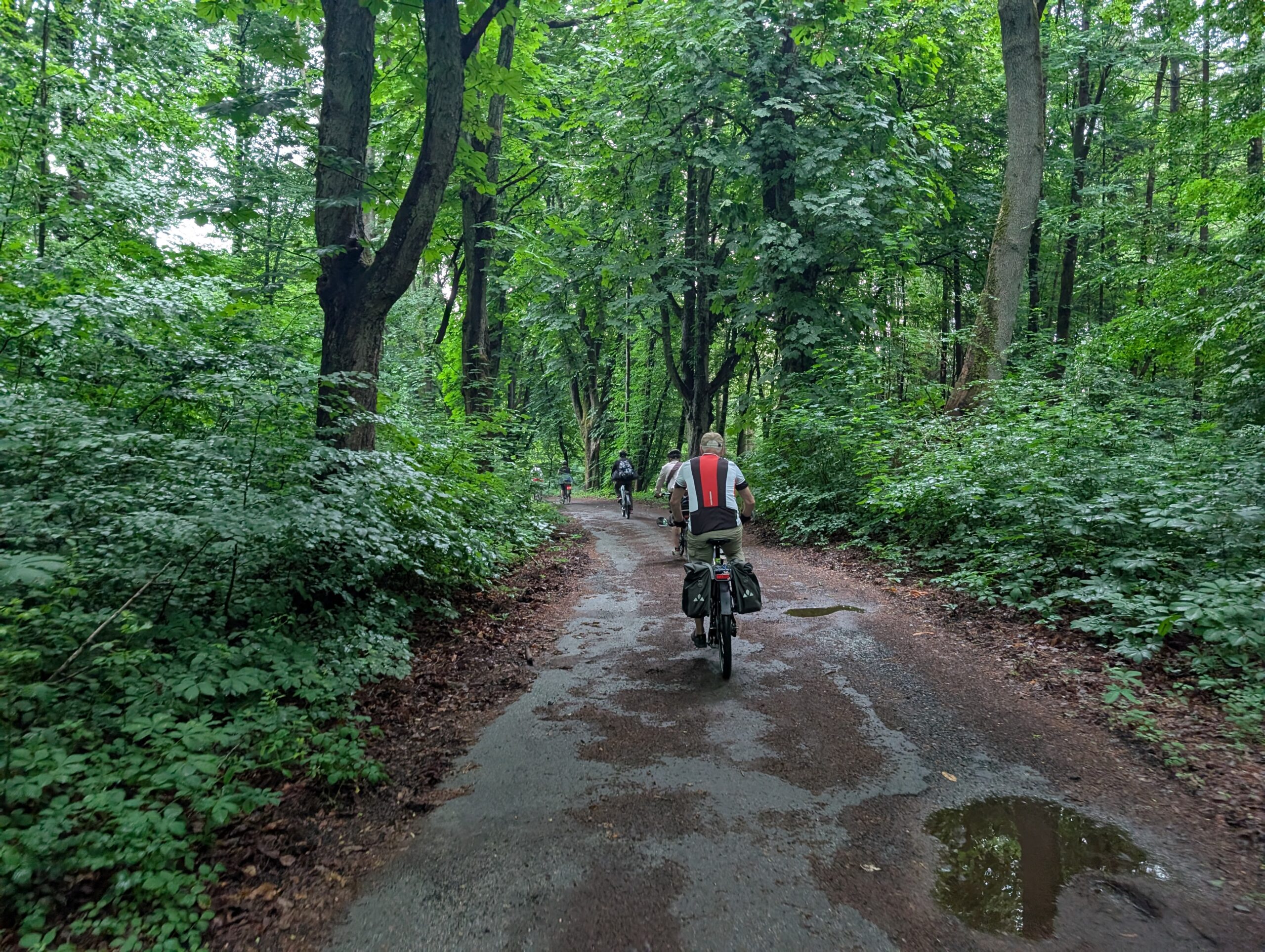 Foto von einigen Radfahrenden, die durch den Wald am Rabengrund in Wiesbaden fahren.